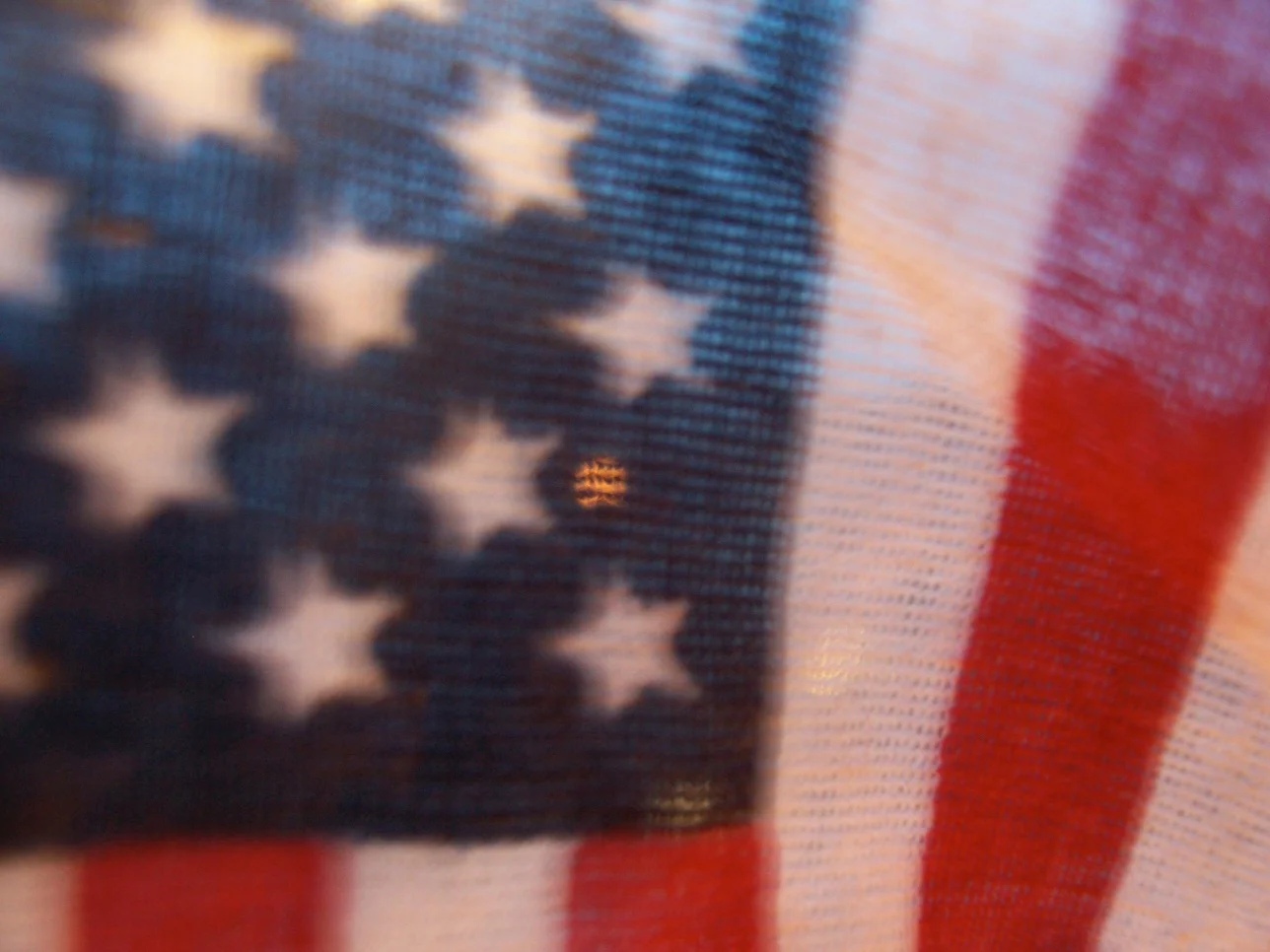 000_0240.jpg