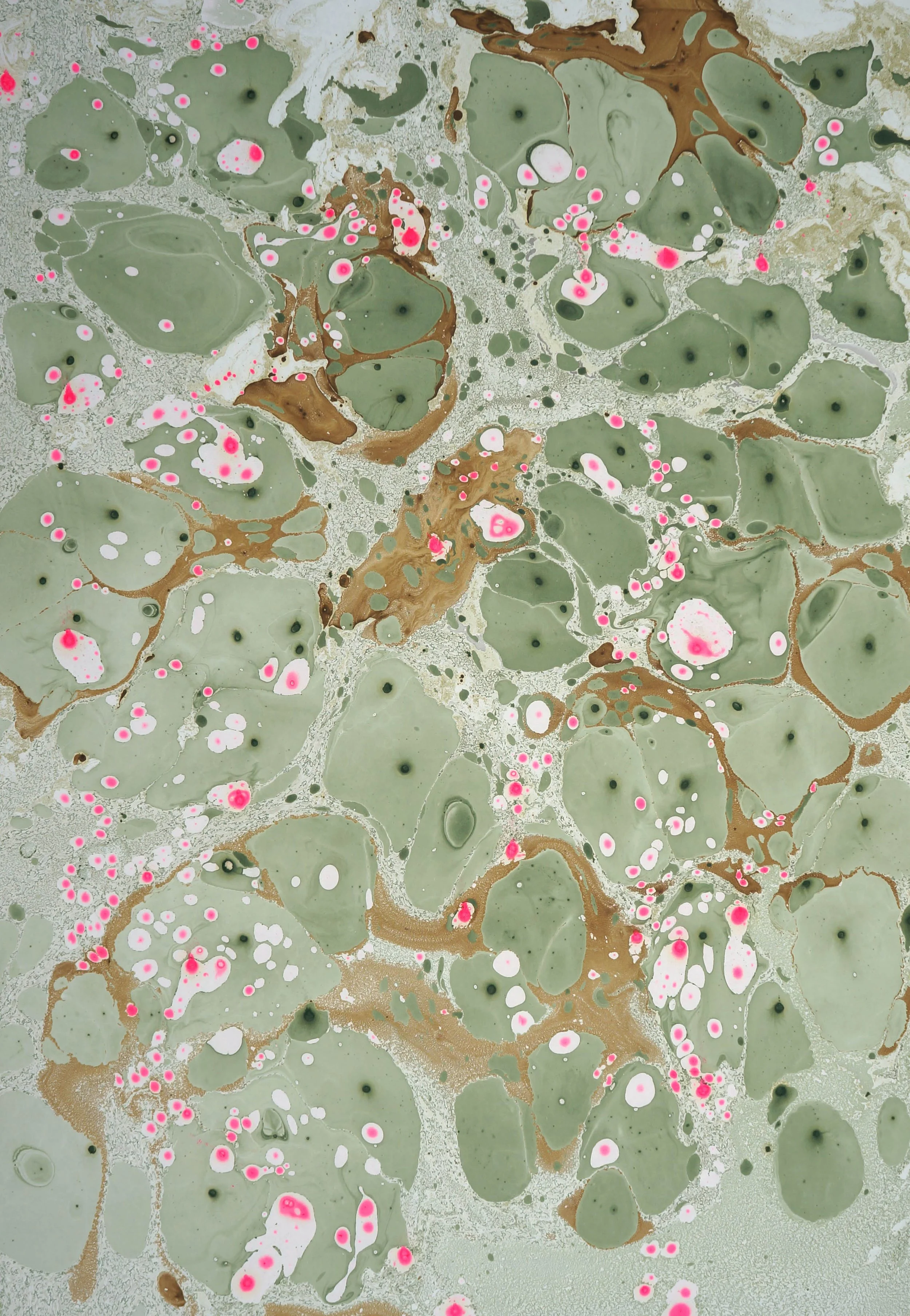salt marshes.jpg