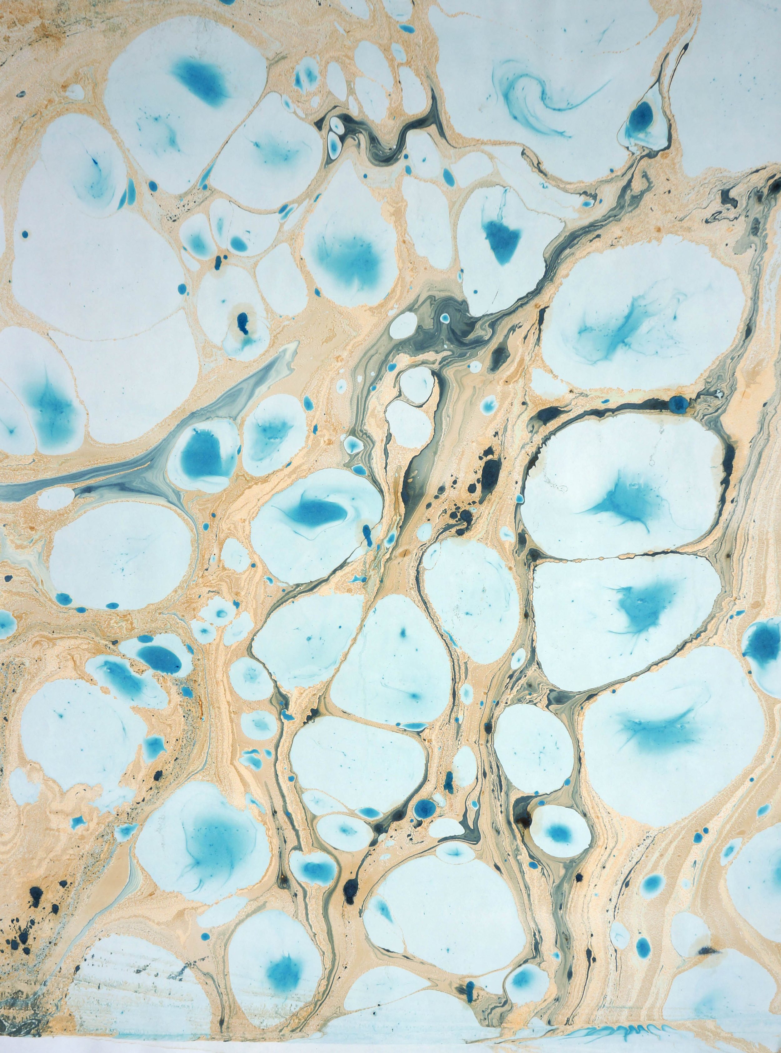 blue klimt.jpg