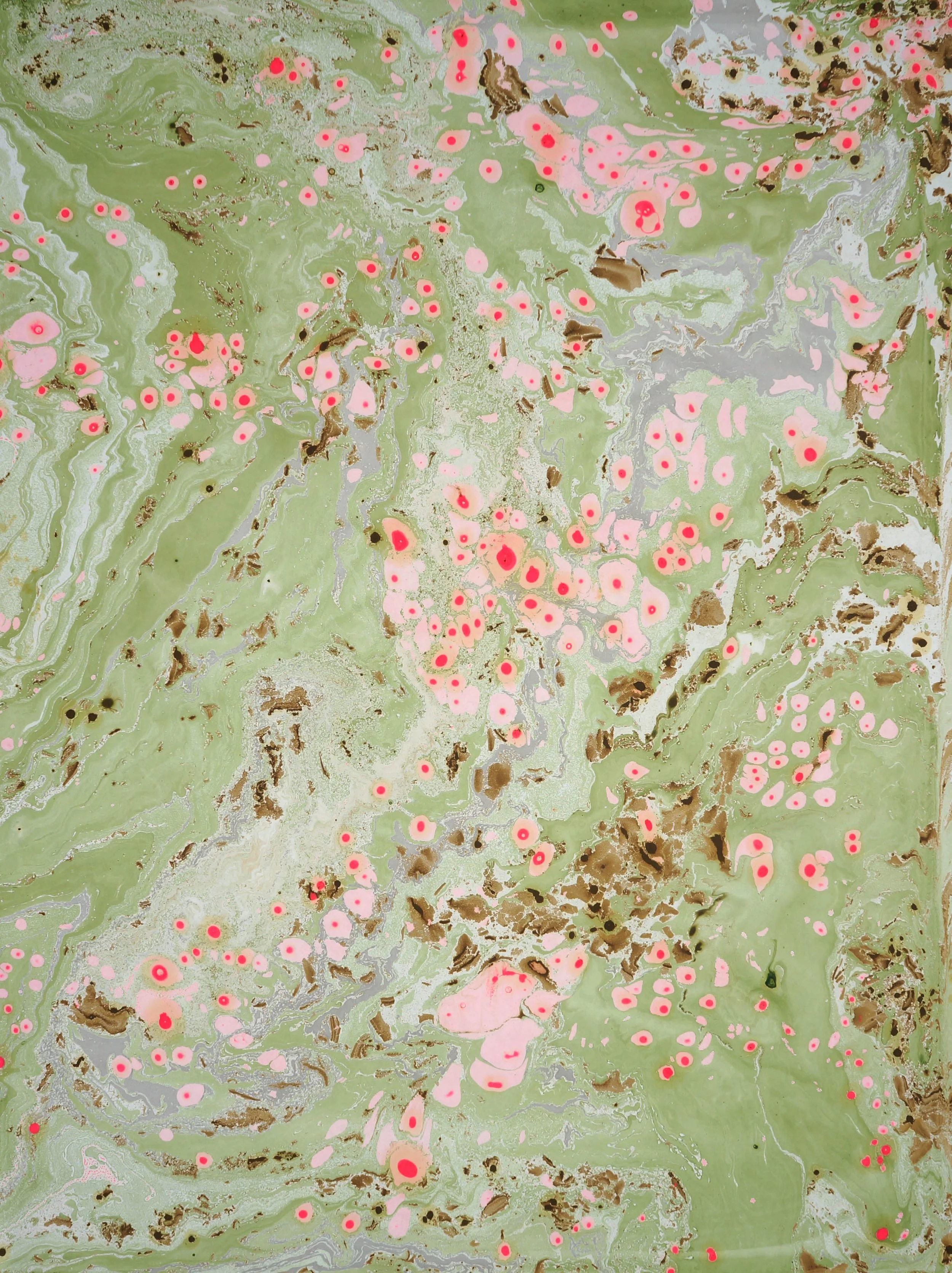 salt marshes 2.jpg