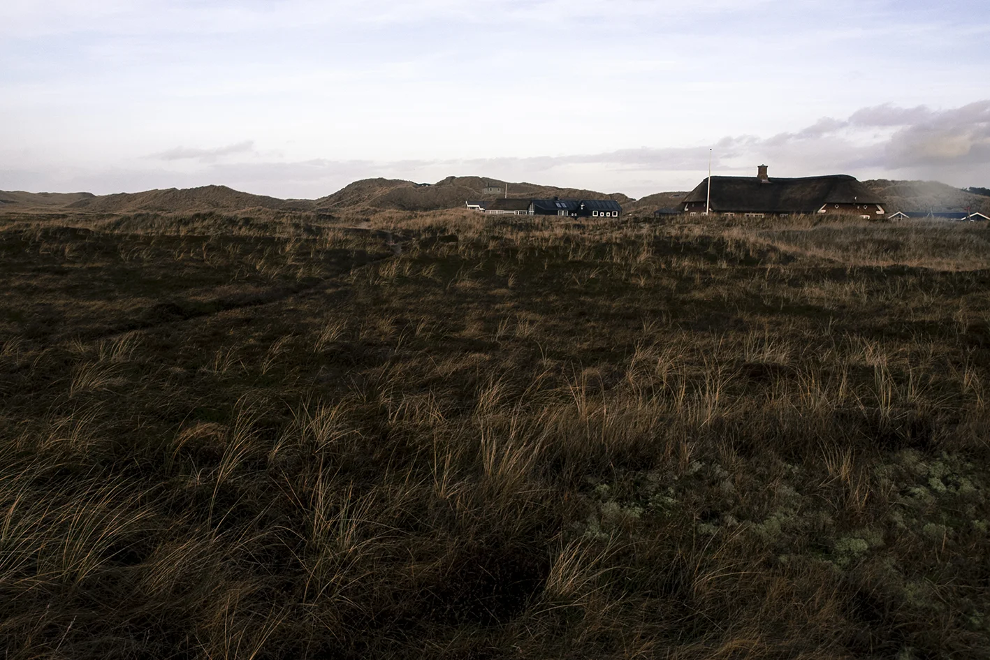 _C231178-2_10x15.jpg