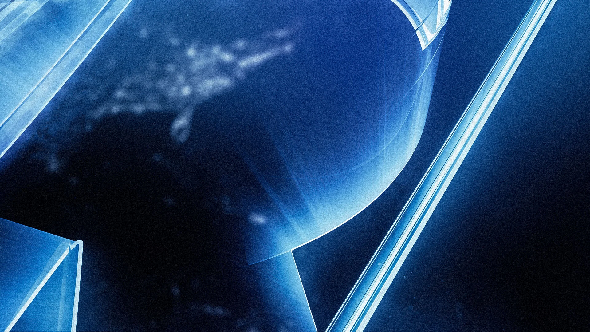 light_bloom_04.jpg