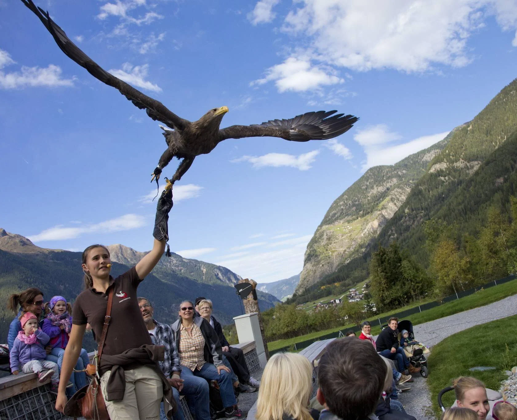 Greifvogelvorführung vor Publikum im Ötzidorf in Umhausen.