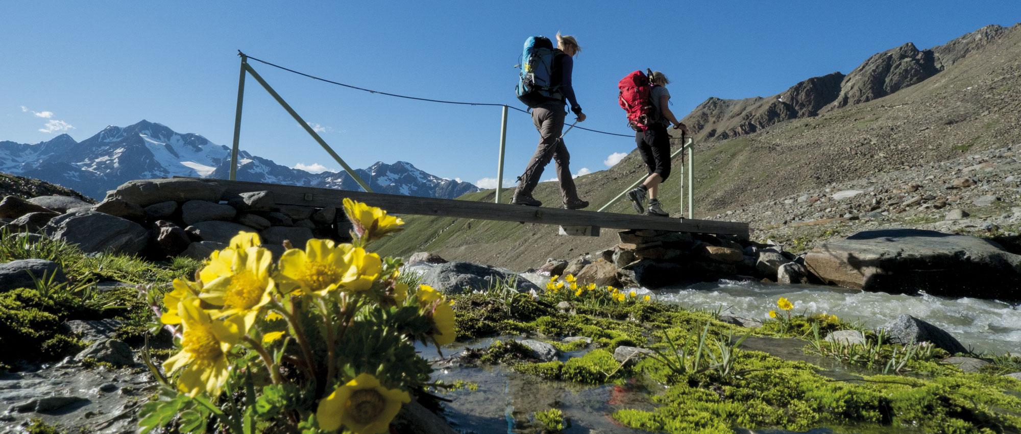 Wanerer auf Behlfsbrücke.jpg