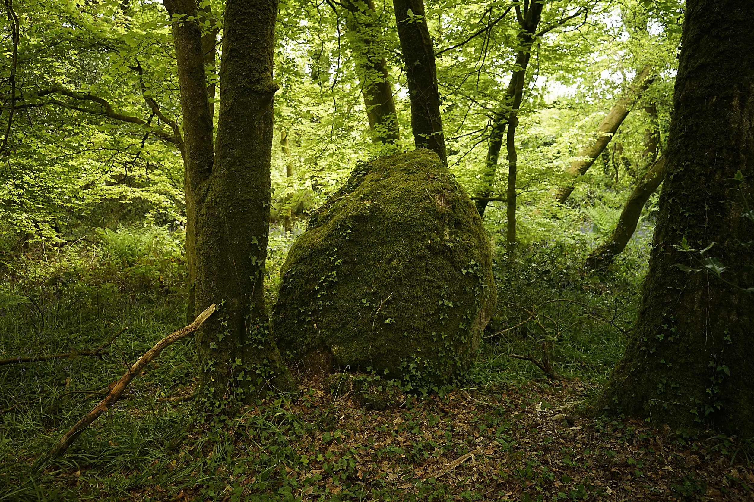 Trelosthlan 12.jpg
