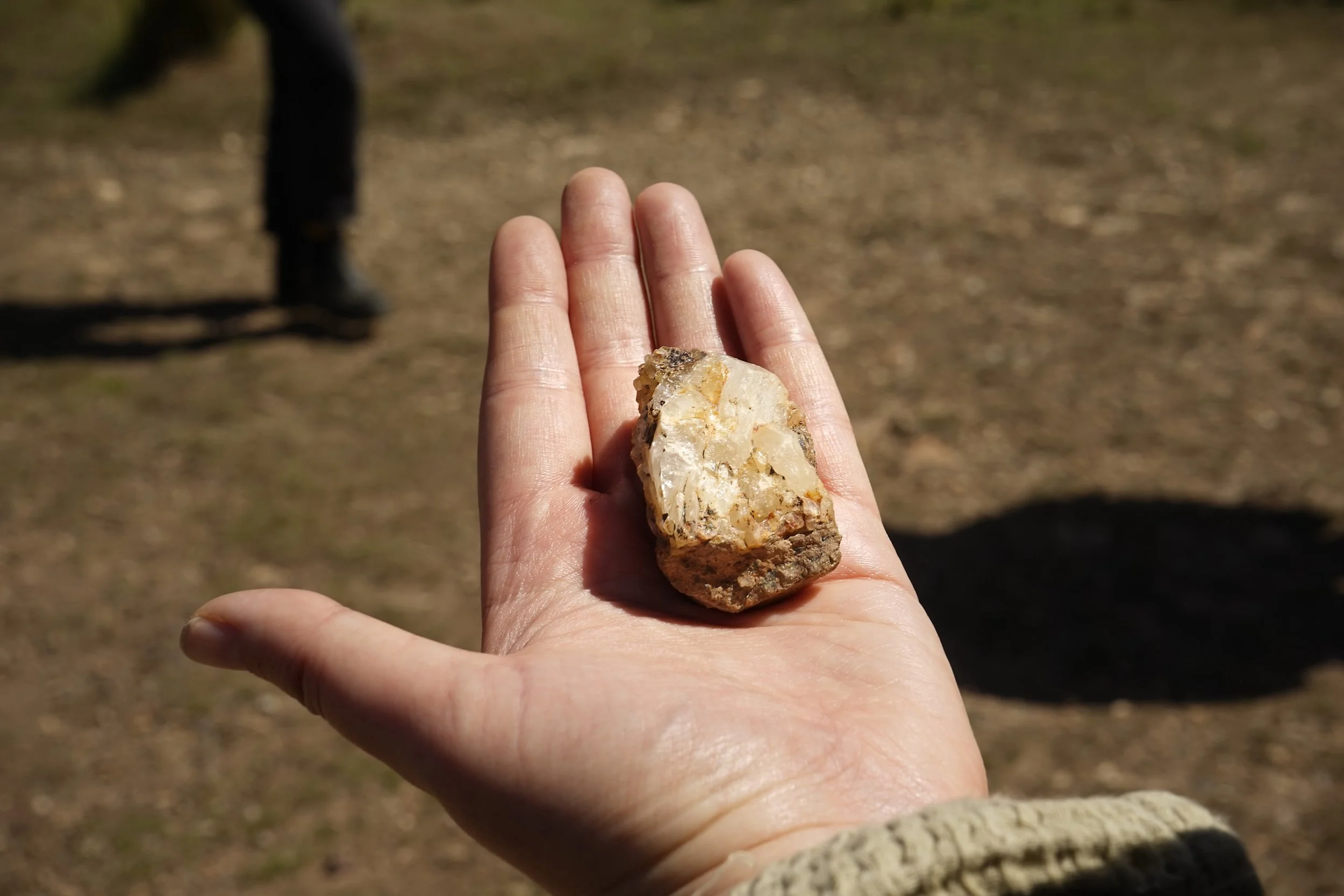 wb camborne 9 Aug 66.jpg