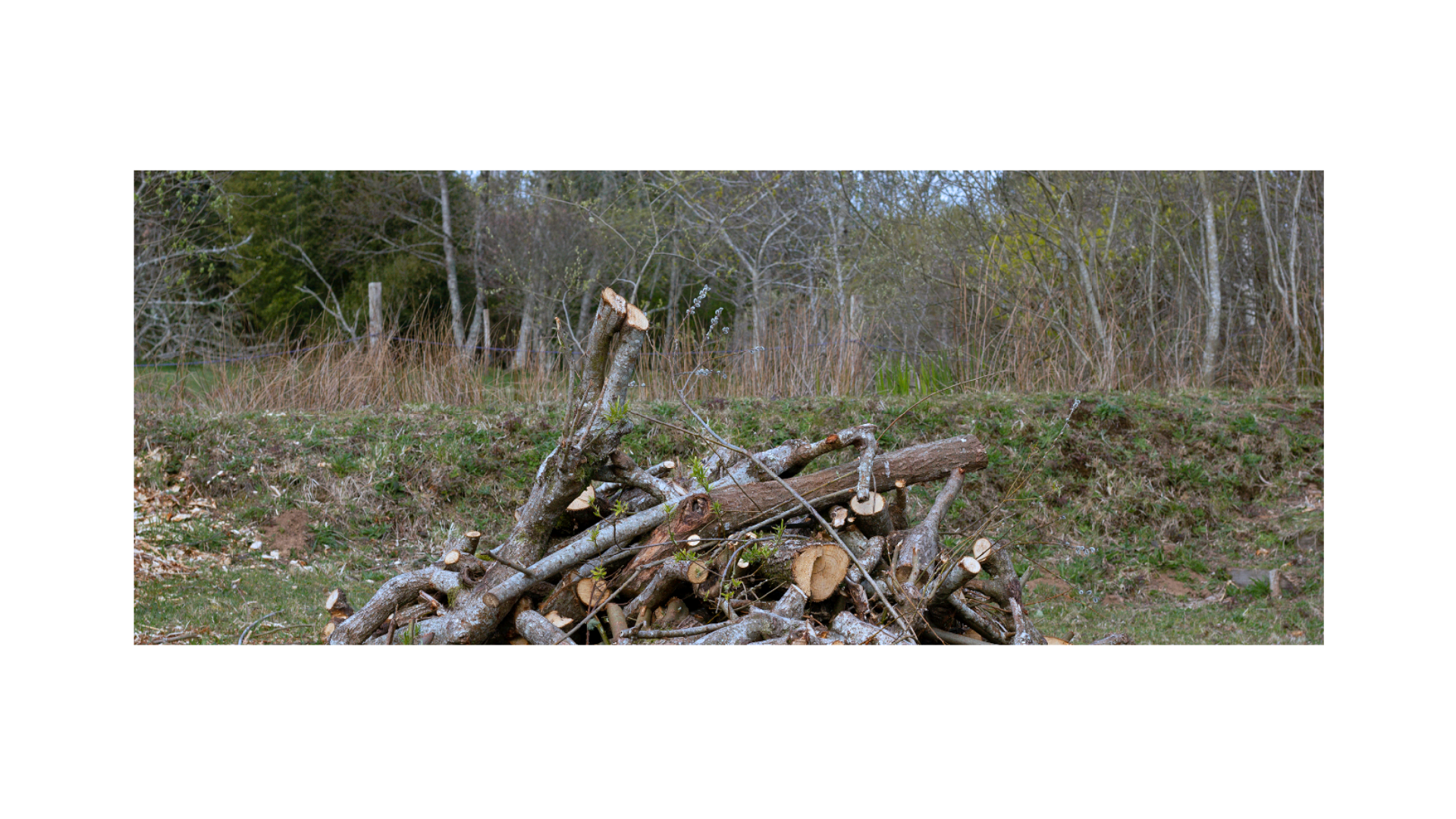  Now known as The Land, it has passed hands as it remains a site for growth and inspiration, including events like Negotiating the Surrender with Dougald Hine, discussing topics as Dark Economies and Deep Adaptation and the Sound Camp in May to join 