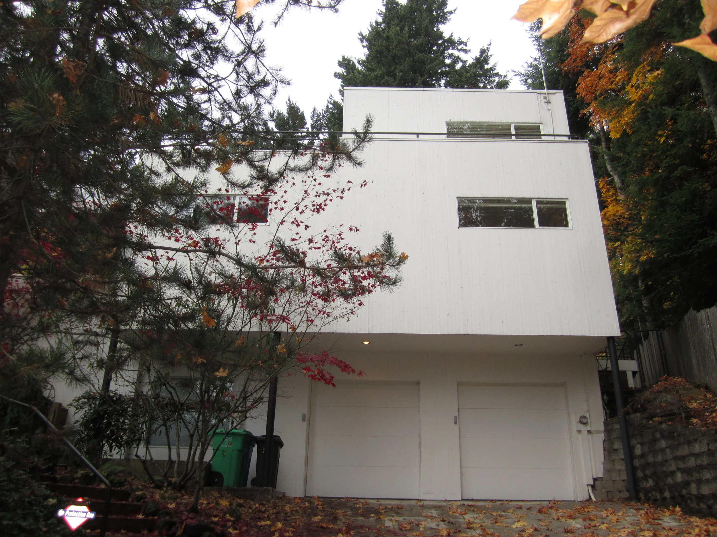 driveway before.JPG