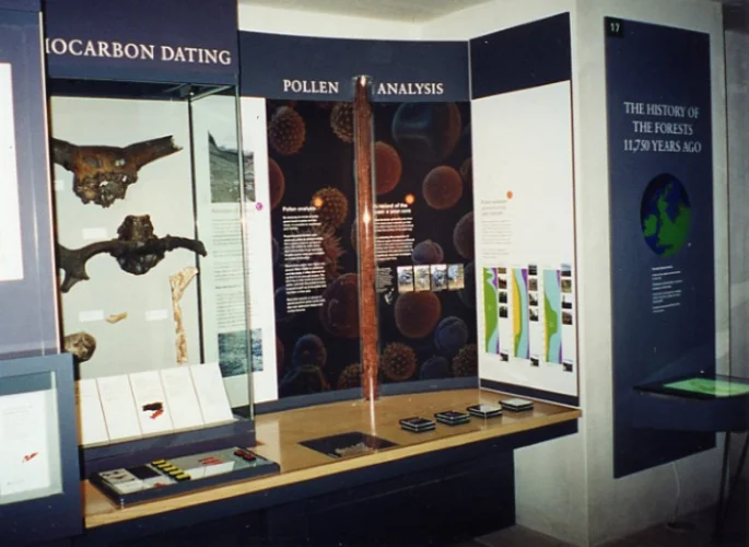 Beginnings-gallery_10.jpg
