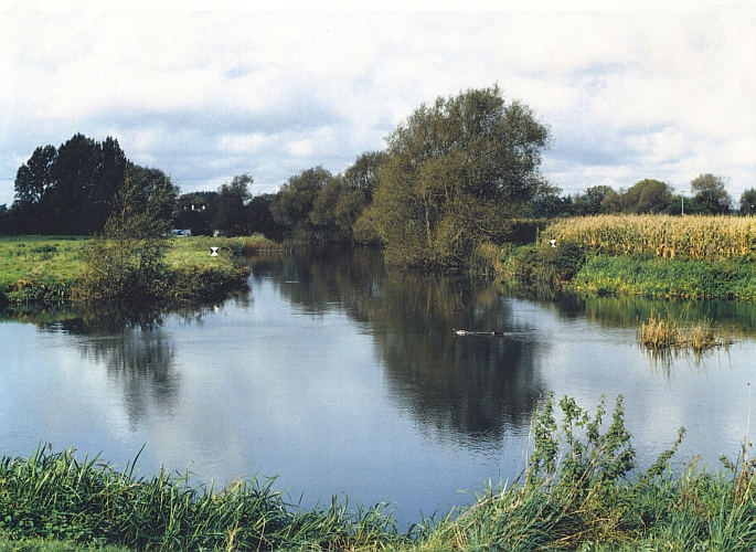 Bloomers Hole Bridge - photo of site resized.jpg