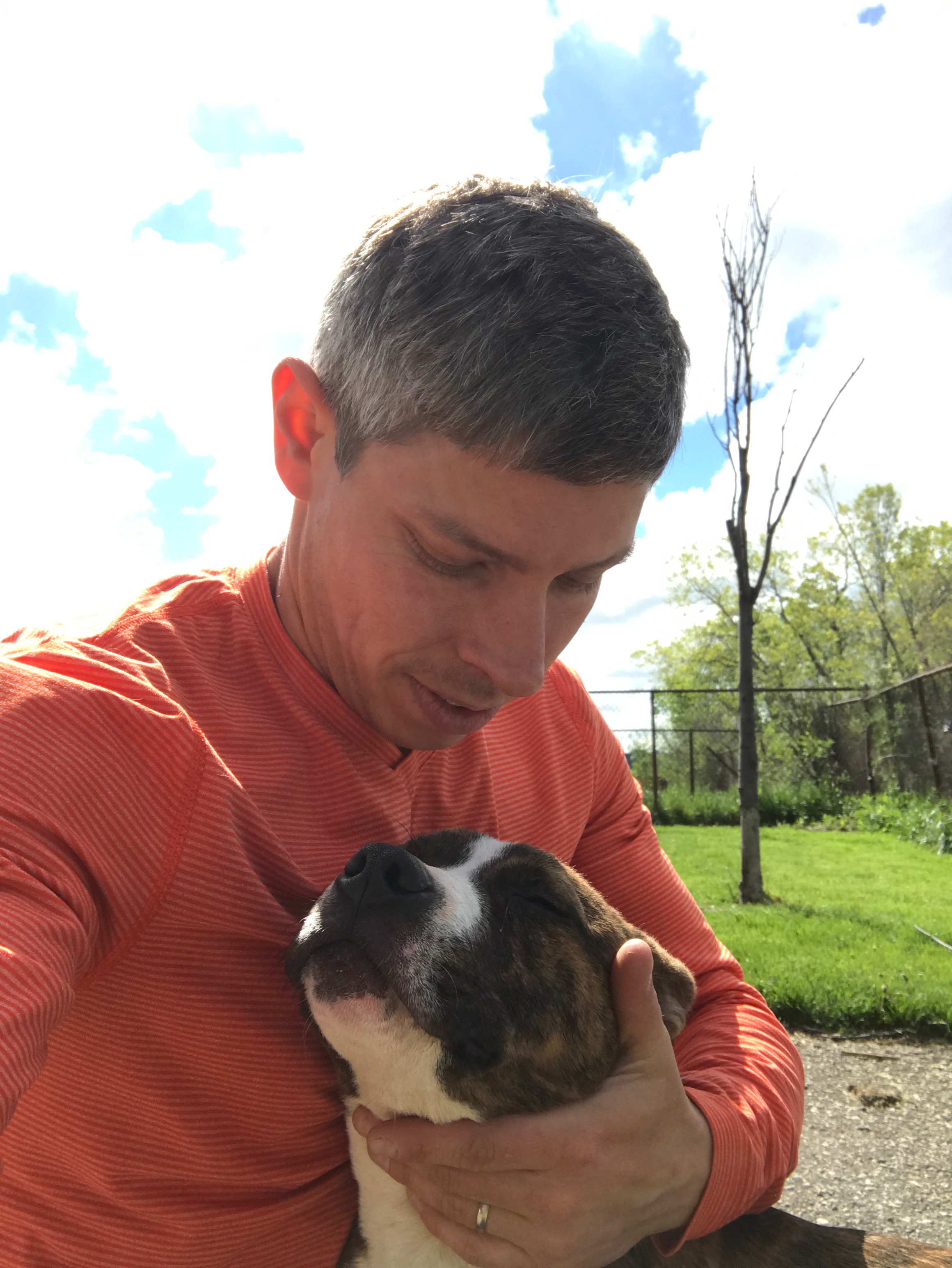 Shelter Volunteer