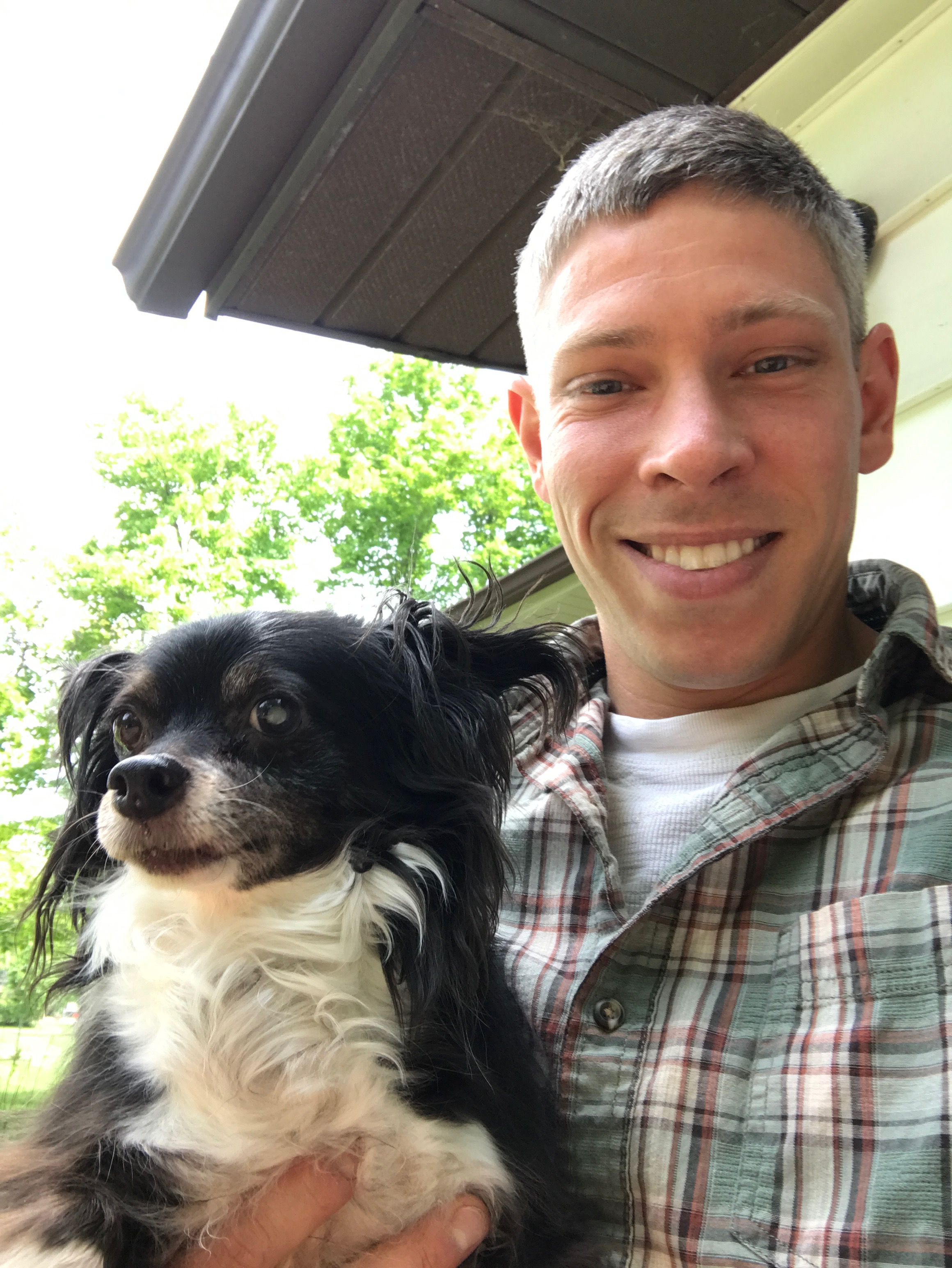 Dog Sitting