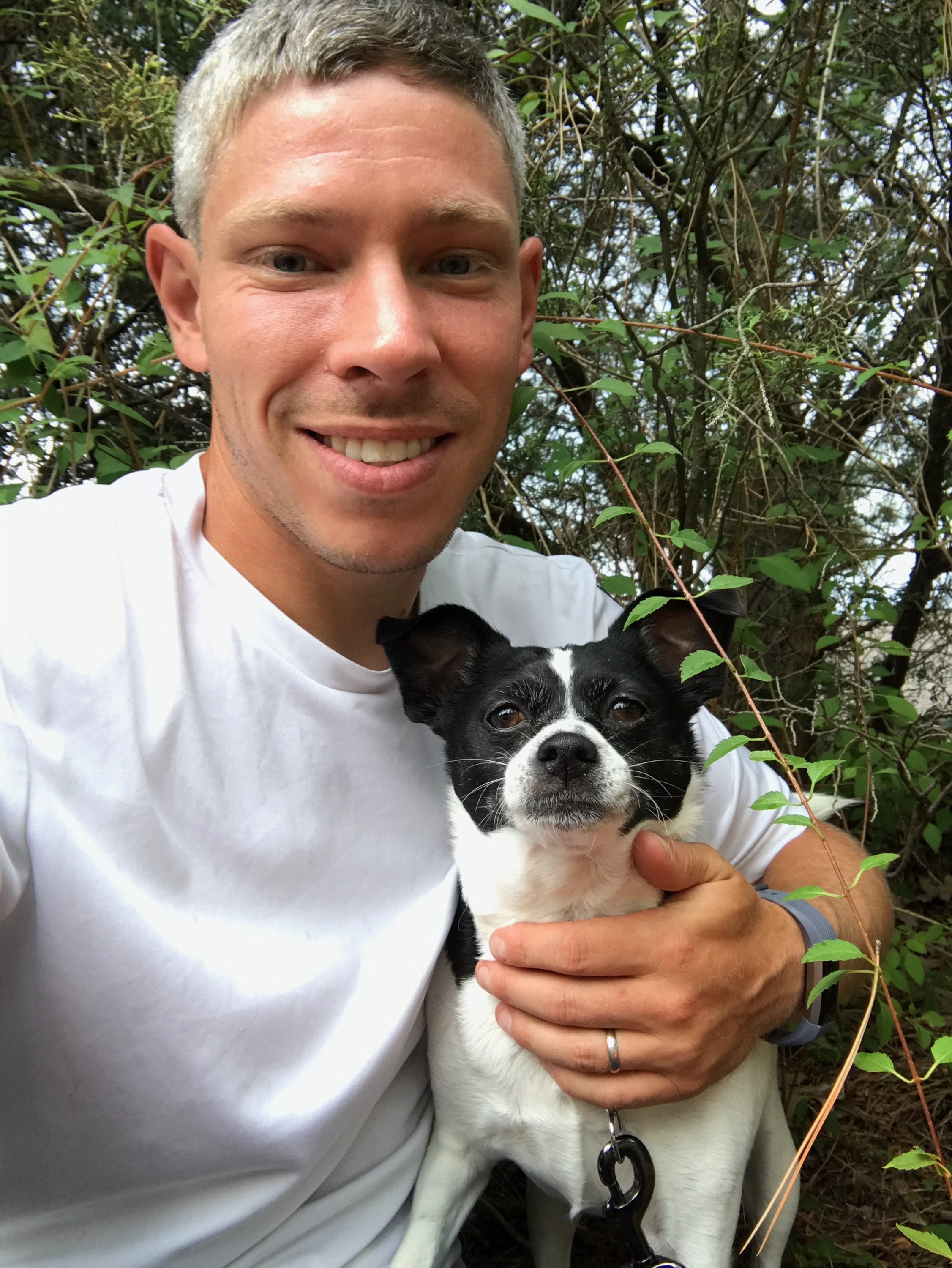 Dog Walking