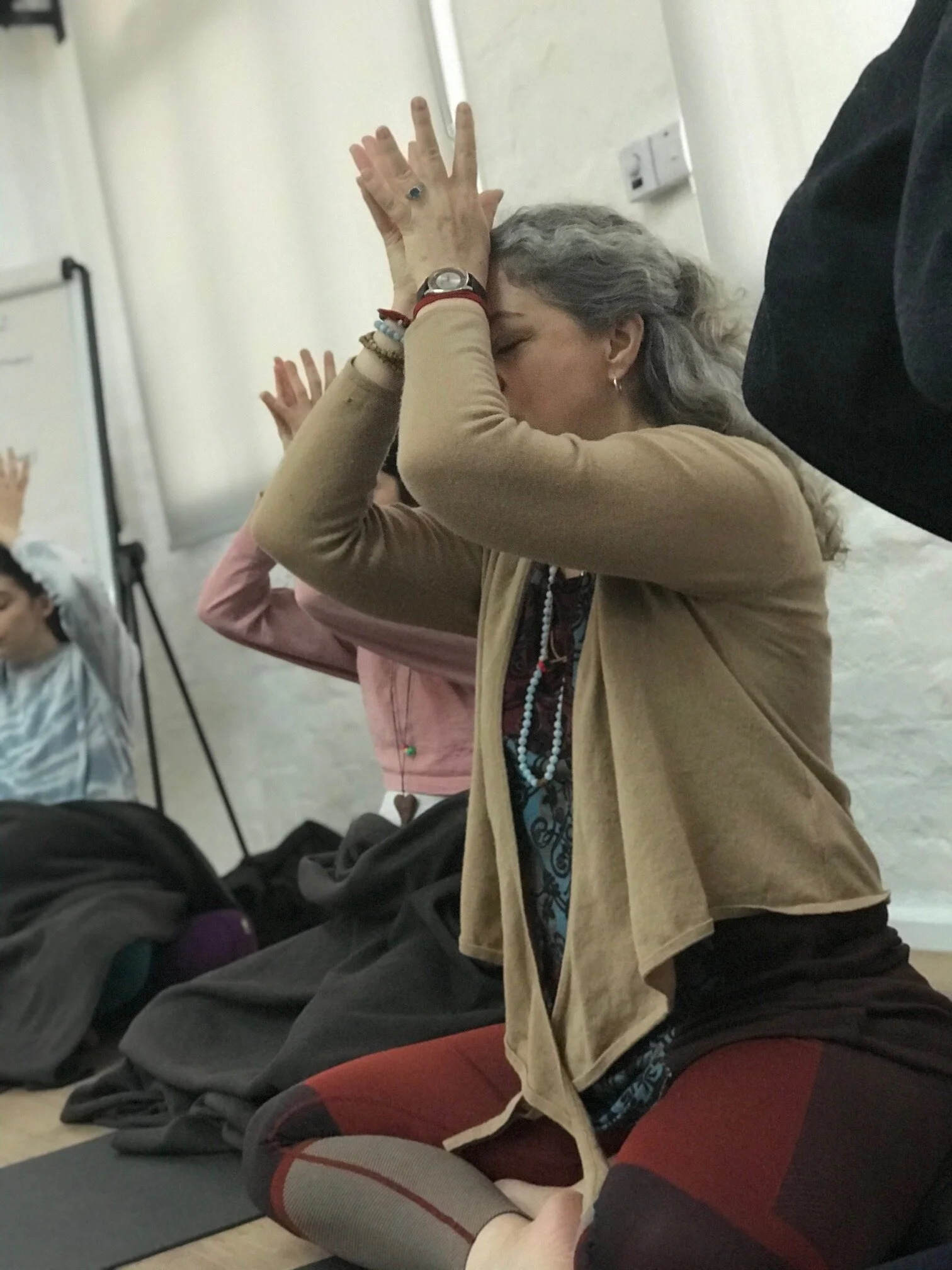 Namaste teaching Lisa with Ayala.jpeg