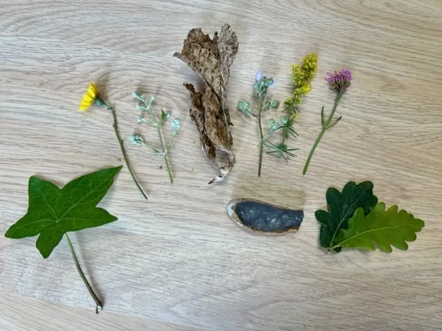 Creative Writing for Therapeutic Purposes (CWTP) with Lisa