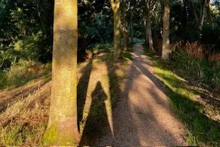 Tree Shadow Lisa crop 2025.jpg