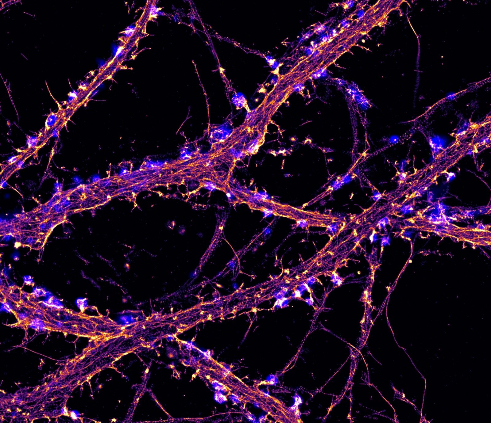 WhatsApp Image 2019-05-23 at 15.01.37.jpeg