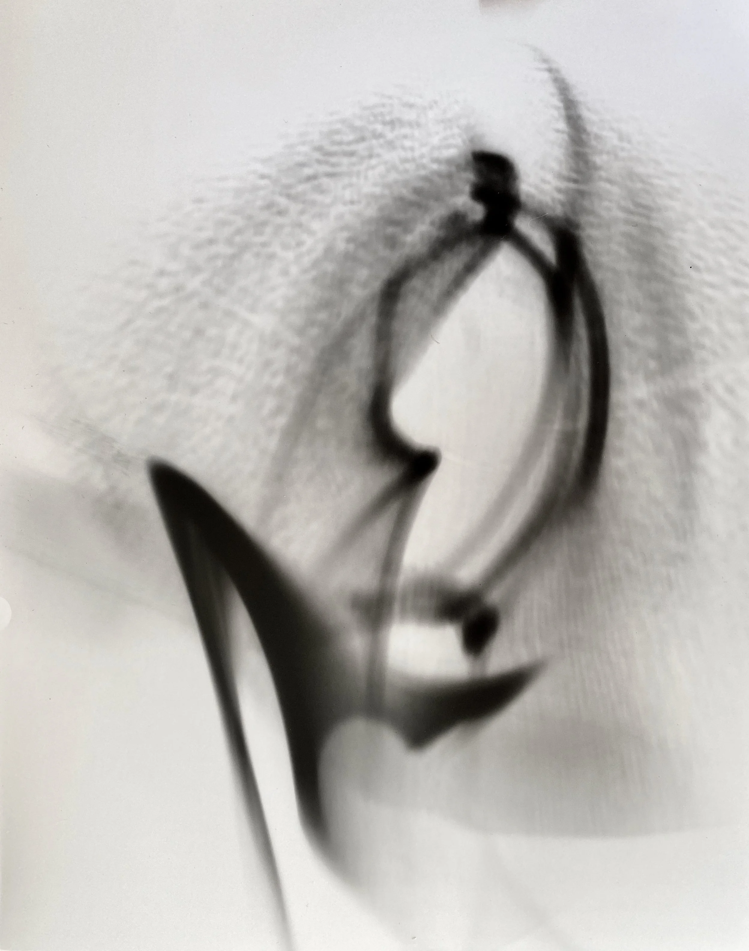 Lensgram CL/01, 2021