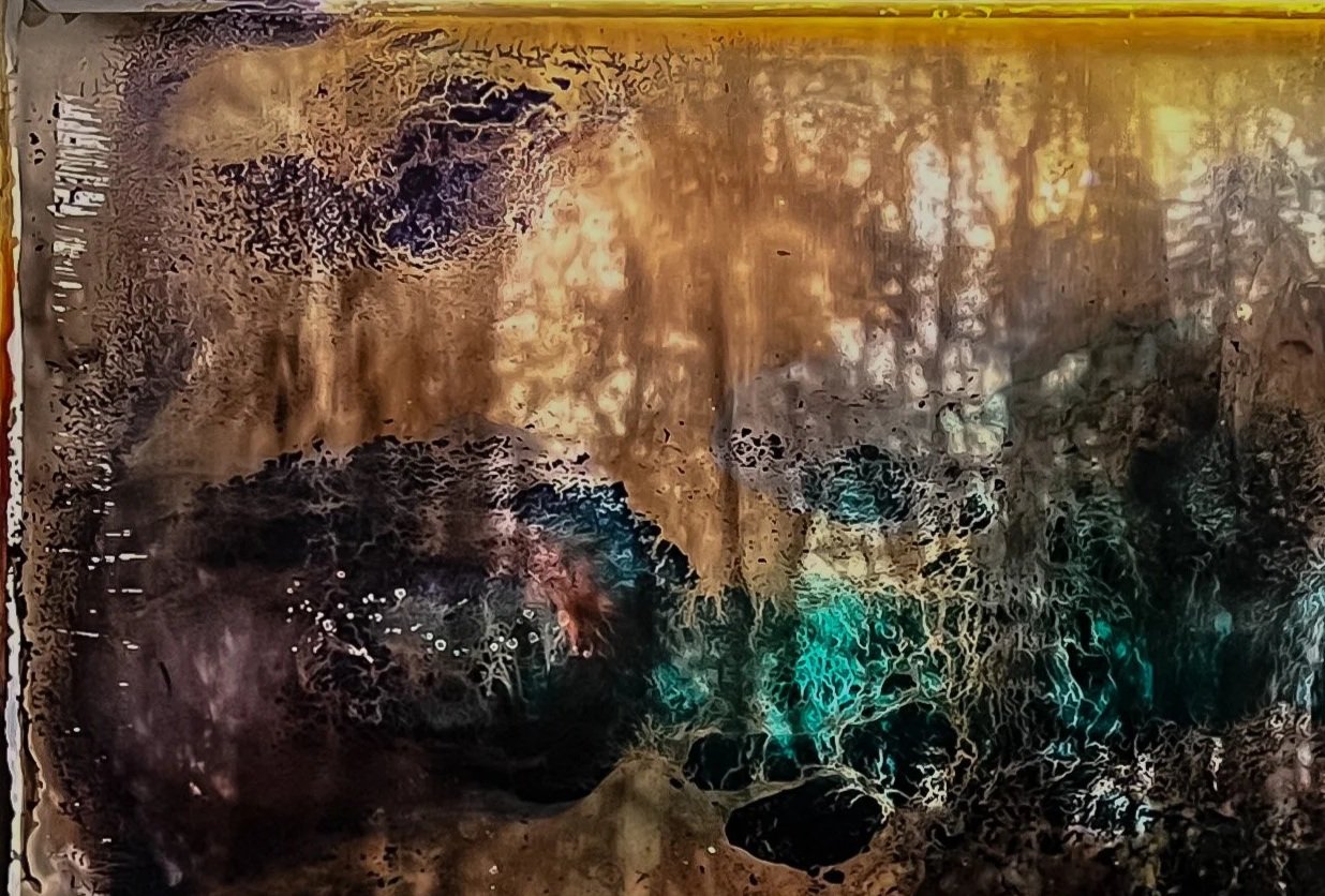 Aleatoric 2_crop.jpg