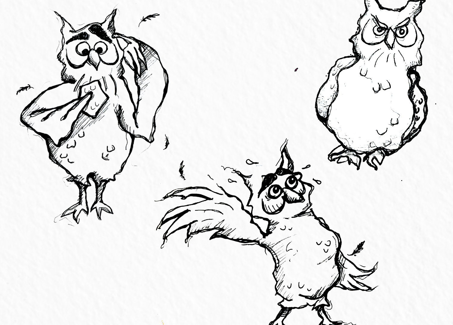 Owl sketches