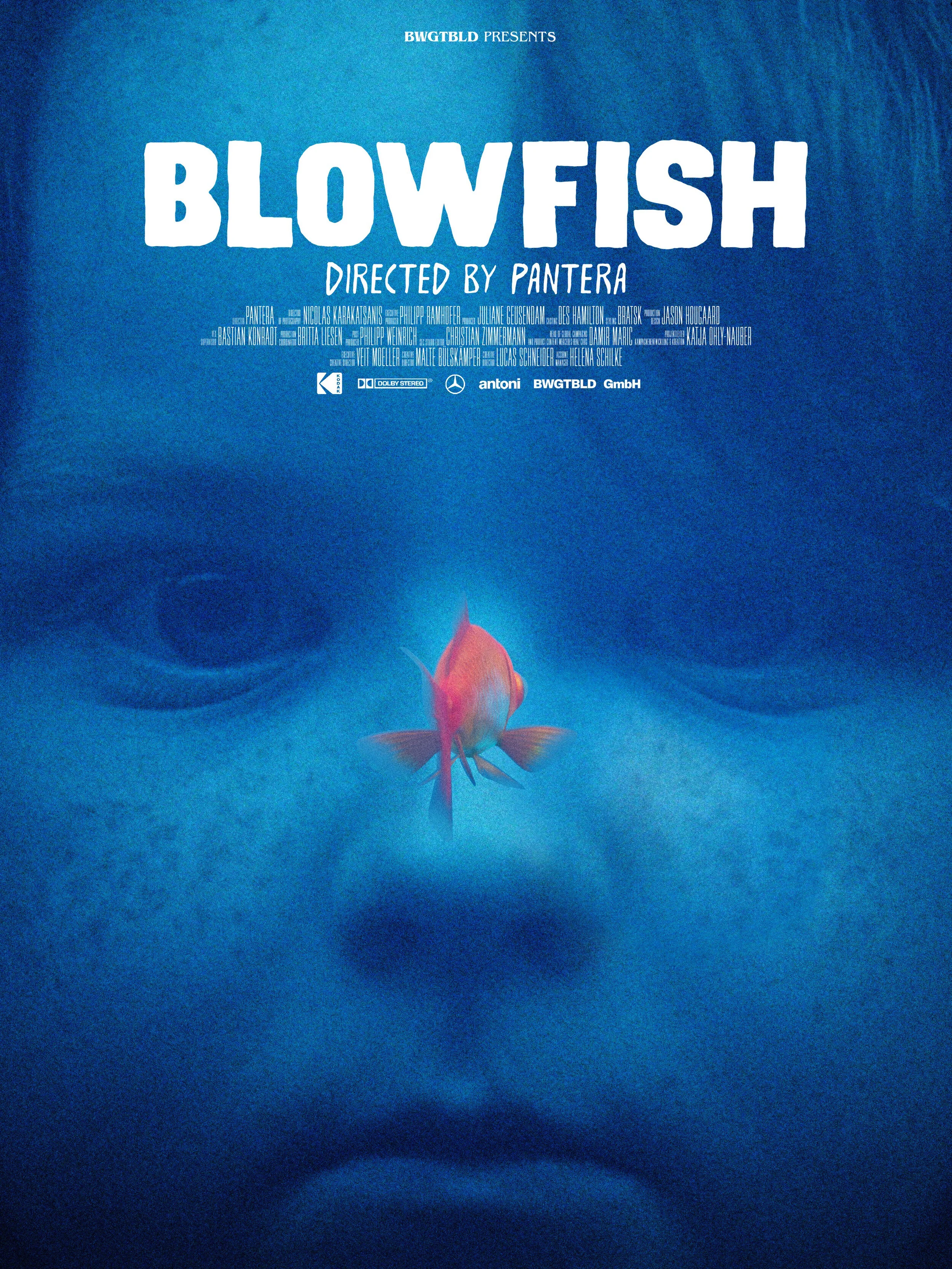200916_BLOW-FISH-DEF.jpeg