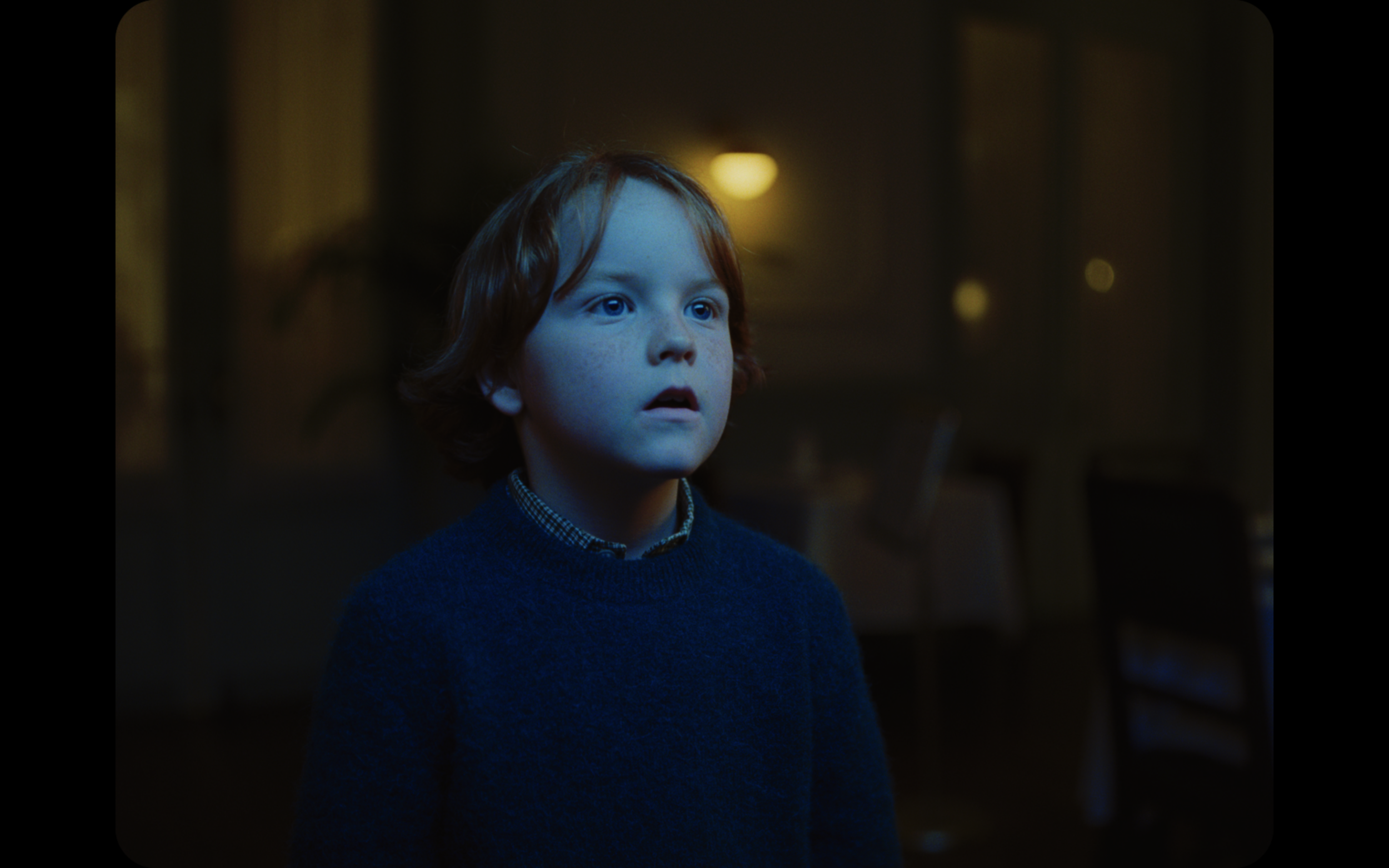 "Blowfish" Mercedes-Benz S-Class