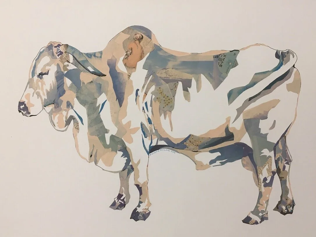 Mooo, by Natasha Archdale