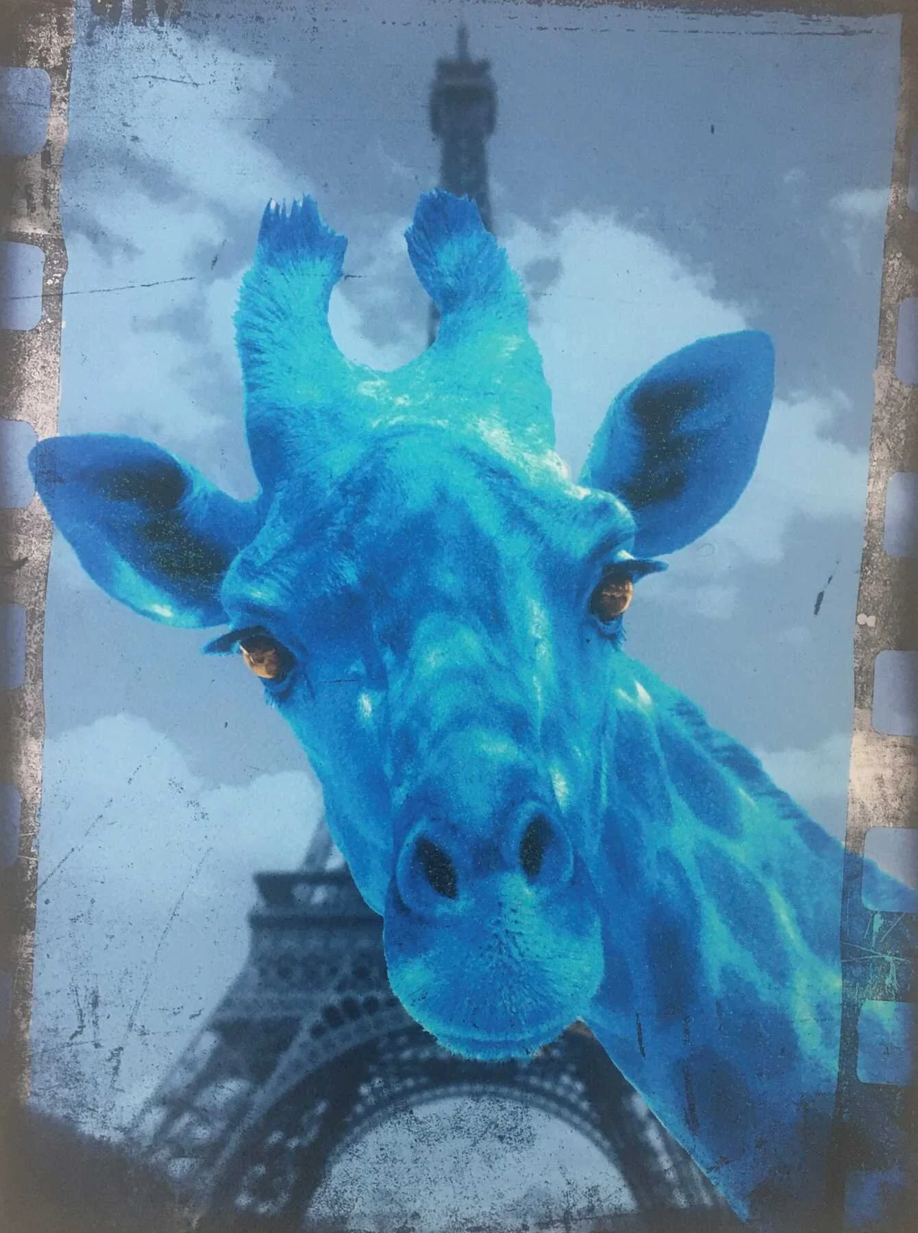 Holiday_Blue_Lars_Tunebo.jpg