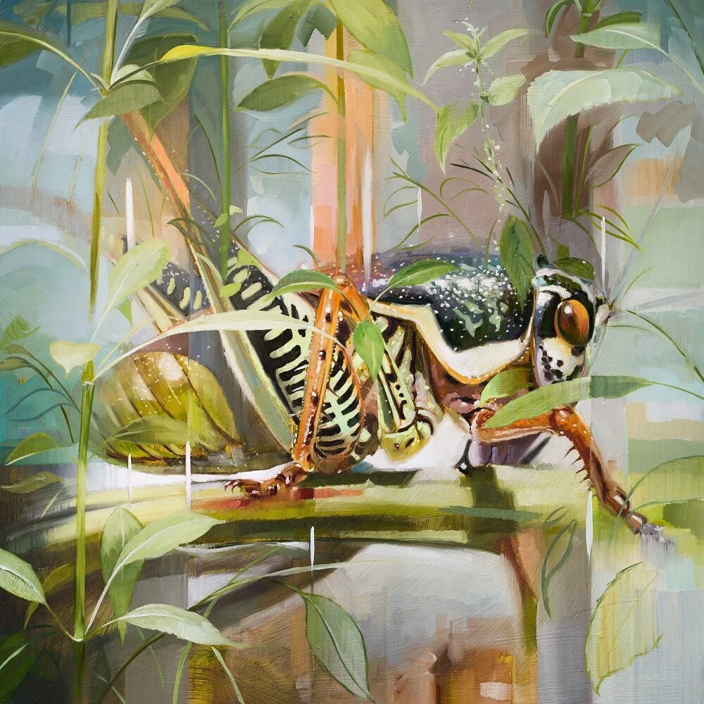 Ionian Cricket 1, by Johnny Morant