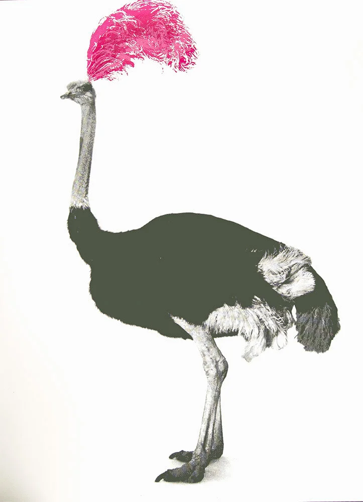 attitude-pink-nathalie-kingdon-artwork.jpg