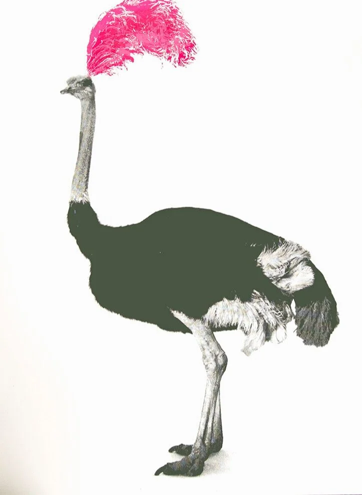 Attitude (Pink), by Nathalie Kingdon