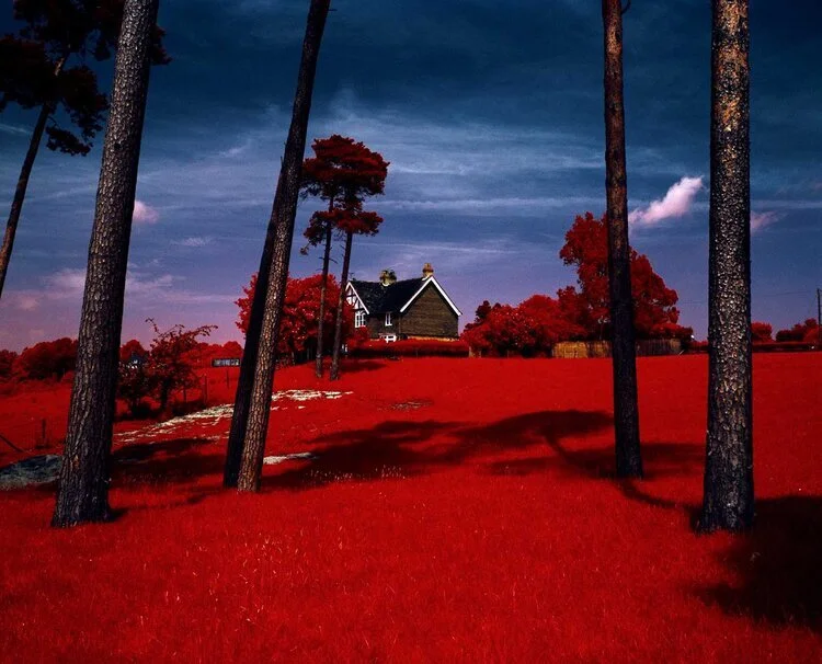 The House on the Hill, Edward Thompson