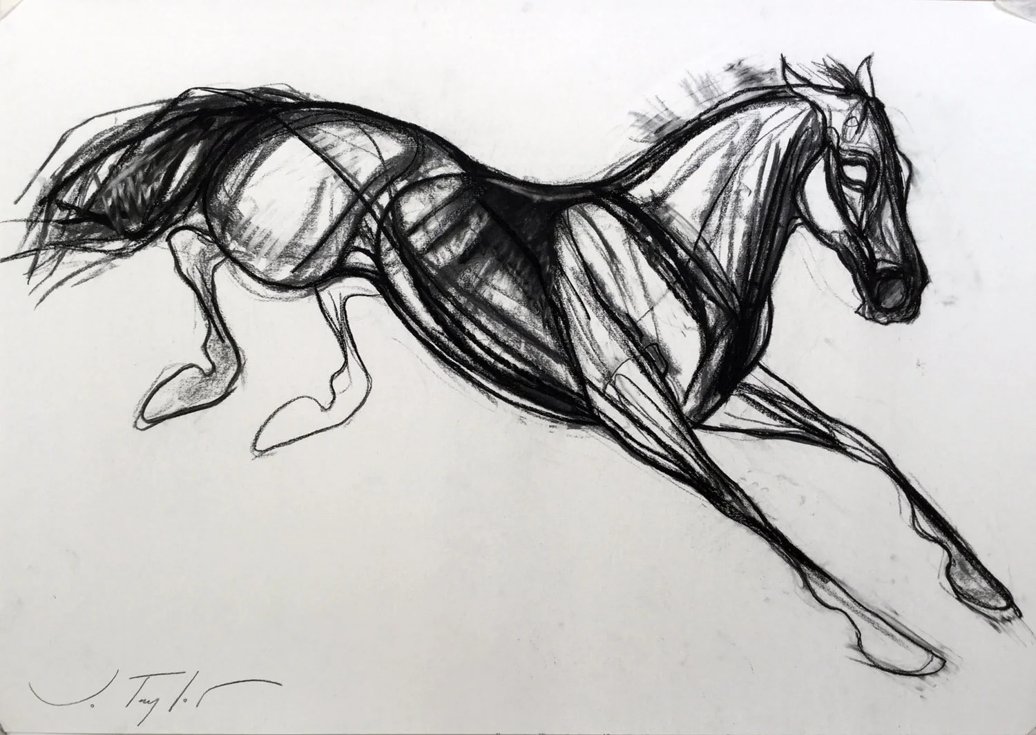 Winged Horse