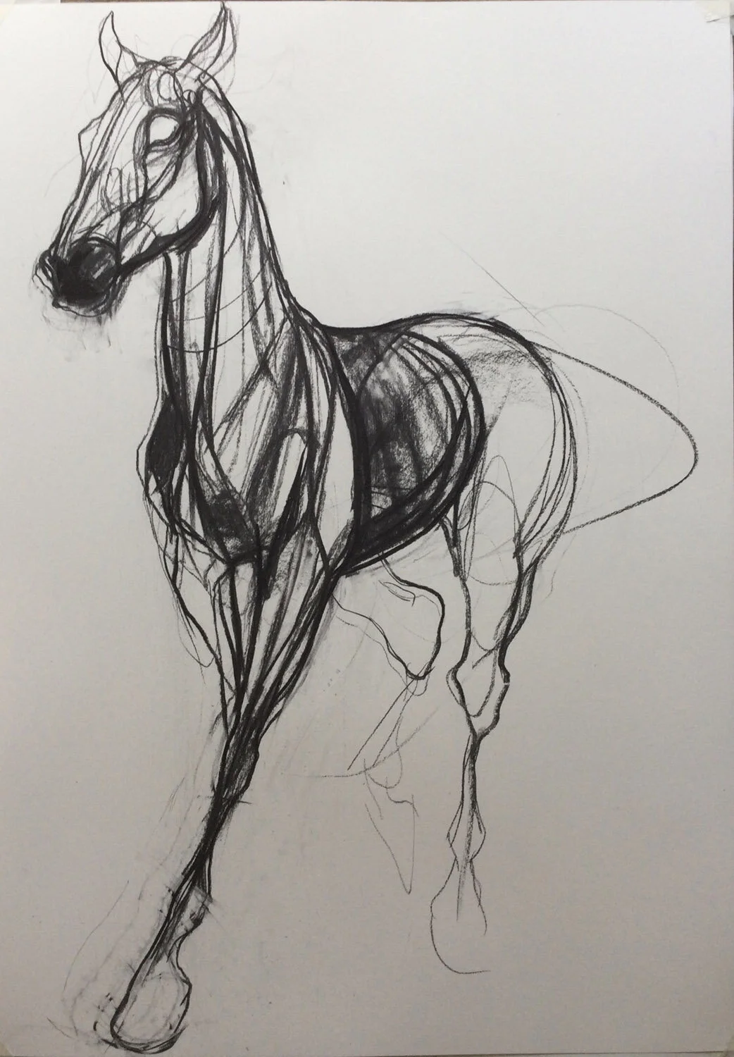 Walking Horse