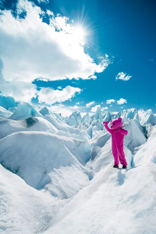 LUAP-I-Used-To-Be-A-Polar-Bear-photography.jpg