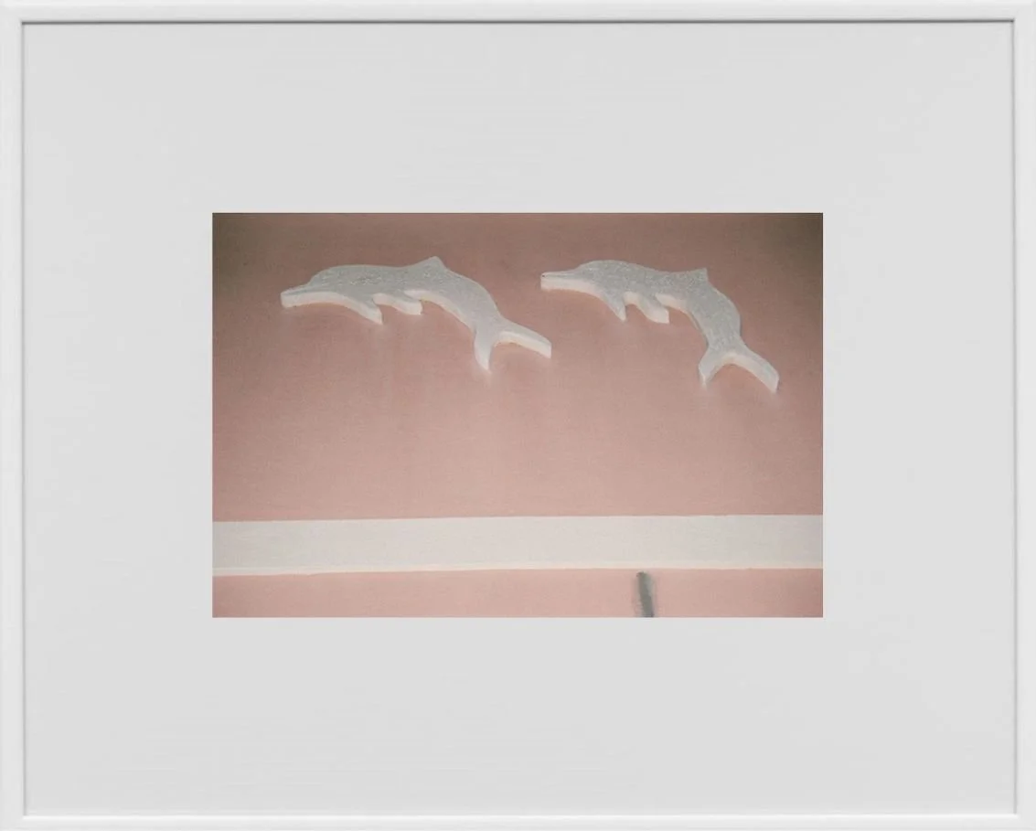 Dolphins