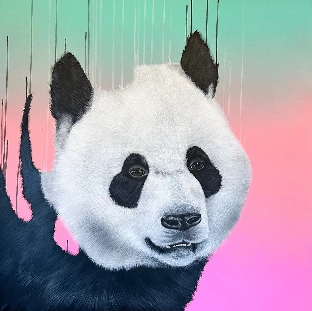 Louise McNaught