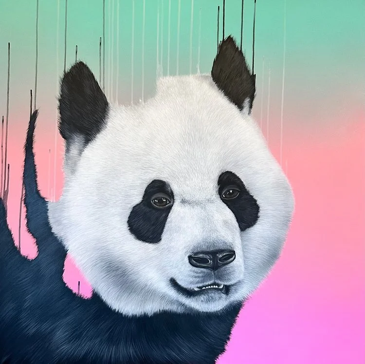 Louise-McNaught-Artist-Expandable.jpg