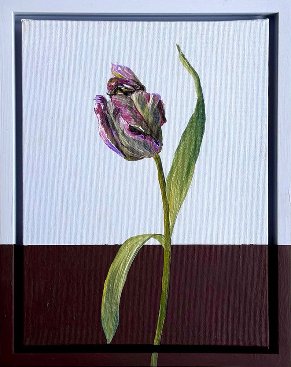 blush-tulip-nay-bellamy-art-ad-lib-gallery-floral.jpg