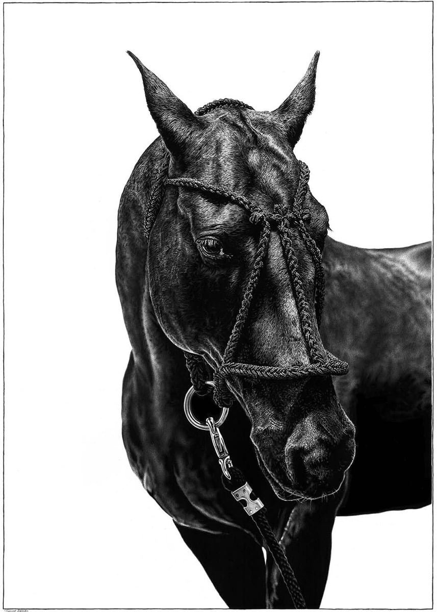 james-mylne-dark-intention-ad-lib-gallery.jpg