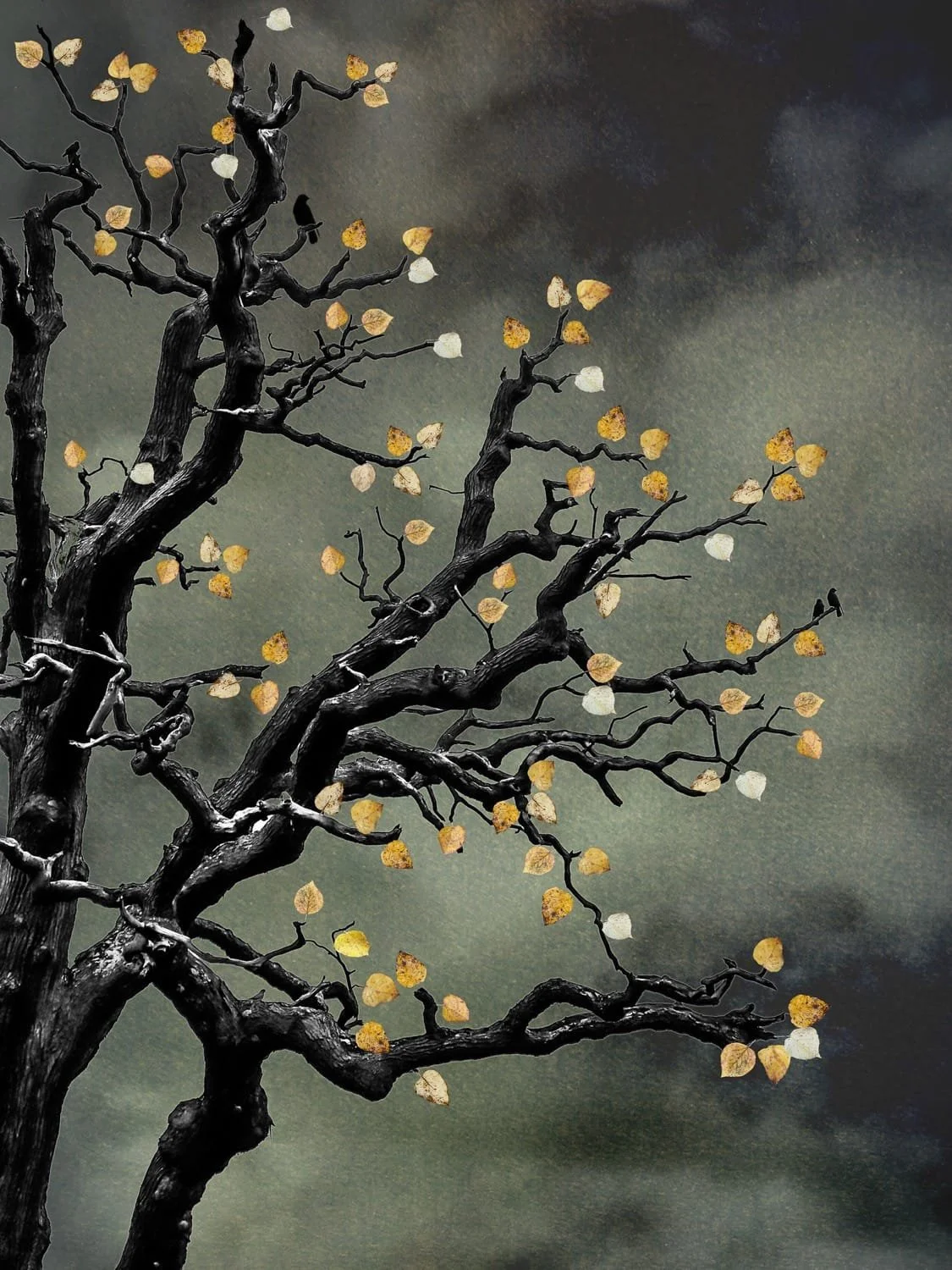 The Last Bird Song #2