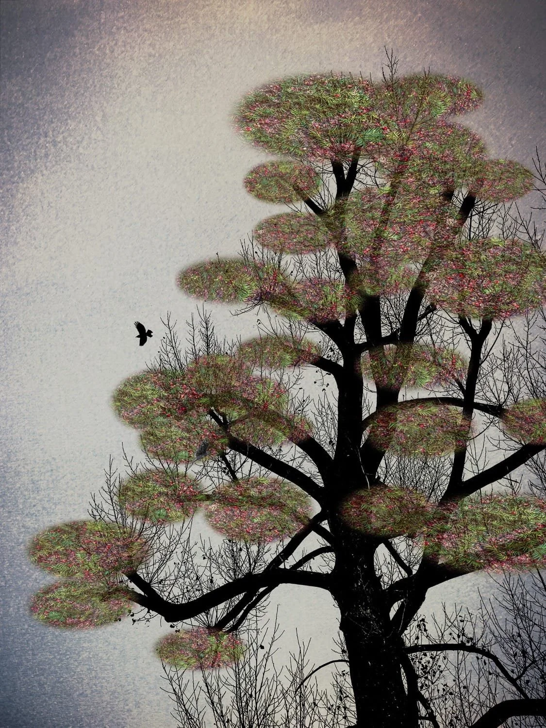 The Last Bird Song #4