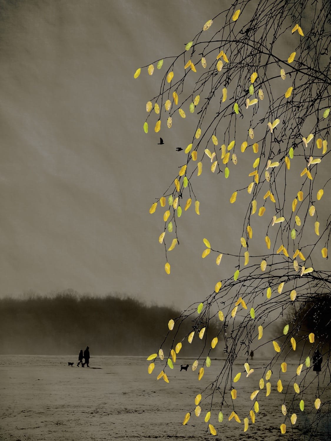 The Last Bird Song #6