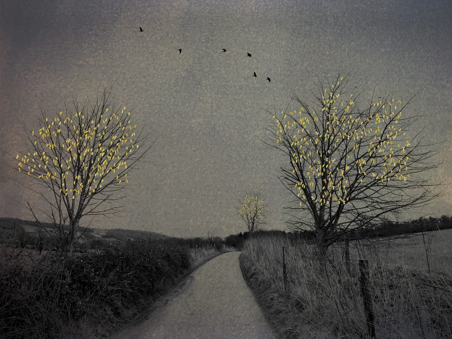 The Last Bird Song #7