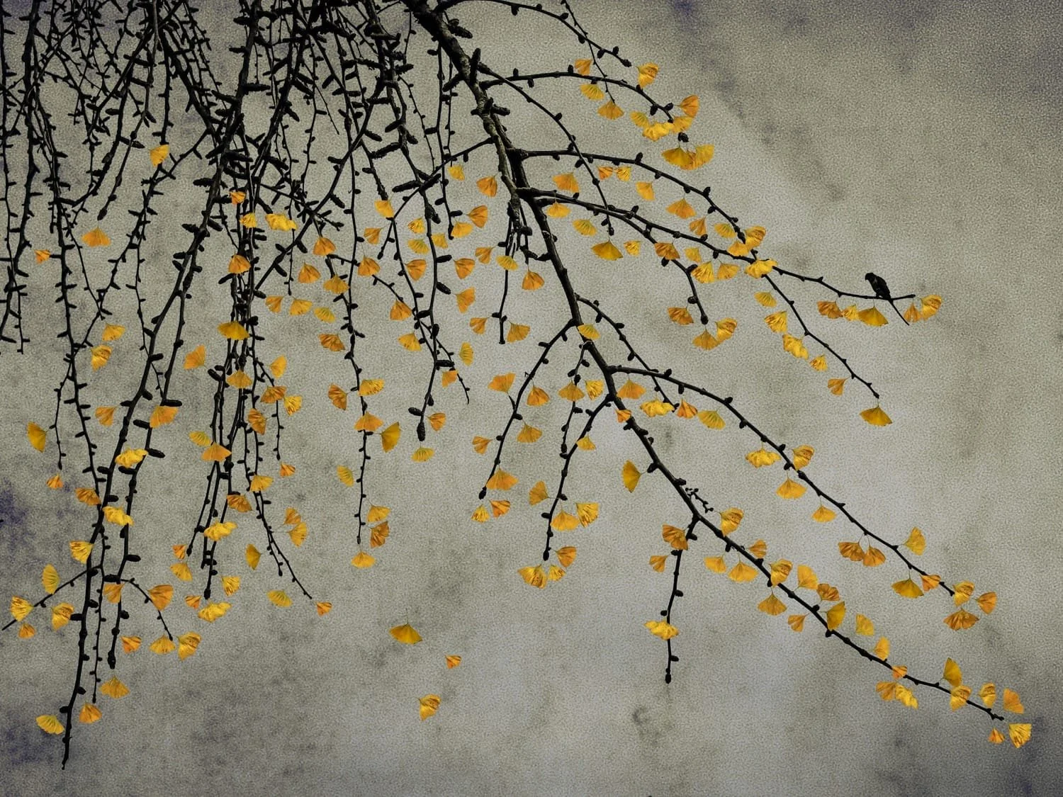 The Last Bird Song #11