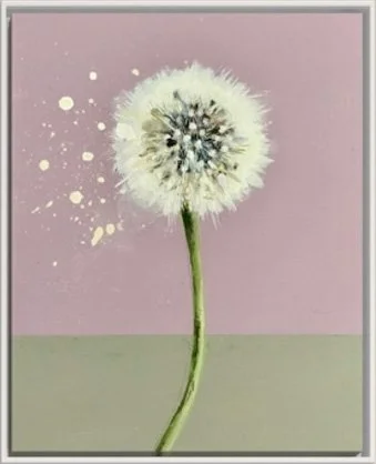 Make a wish - Pink