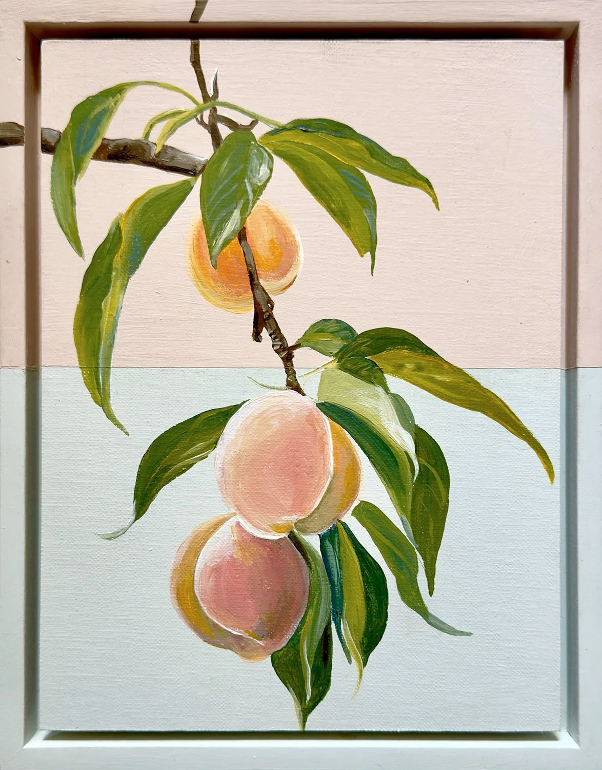 Apricot Dream