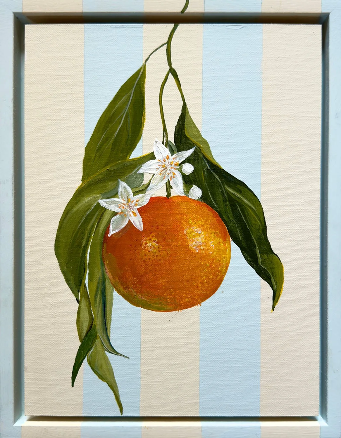 My Clementine