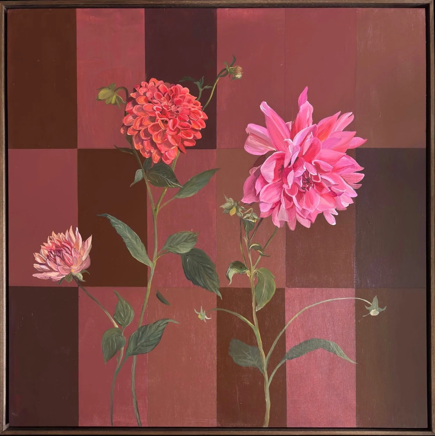 Dance of the Dahlias