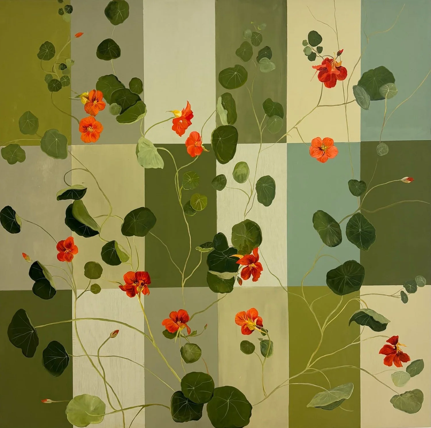 Nasturtium Dream